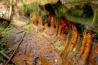 Lici cliffs, springs